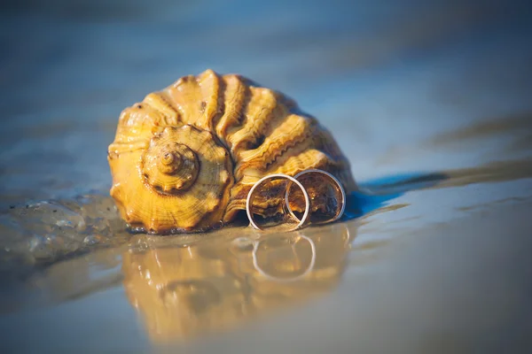 Trouwringen liggen op een shell op het strand — Stockfoto
