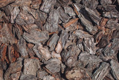 Çam kabuğu doğranmış.