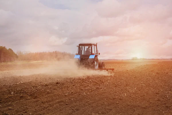 In the early,spring morning,because of the wood the bright sun  ascends.The tractor goes and pulls a plow,plowing a field before landing of crops.On the earth dry stalks of a last year's sunflower lie. — Stock Photo, Image