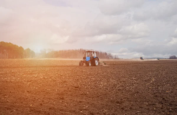 Am frühen Frühlingsmorgen, wegen des Holzes steigt die helle Sonne auf. Der Traktor zieht einen Pflug und pflügt ein Feld vor der Landung von Getreide. Auf der Erde liegen trockene Halme einer Sonnenblume aus dem letzten Jahr.. — Stockfoto
