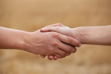 İki adam, çiftçiler alanın arka planı elini sık..