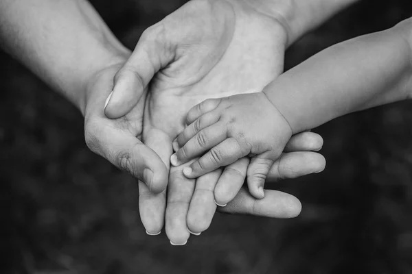 Drie handen van dezelfde familie - vader, moeder en baby samen blijven. Close-up. Het concept van de eenheid van het gezin, bescherming, ondersteuning, voorspoed, liefde en ouderlijke geluk. — Stockfoto