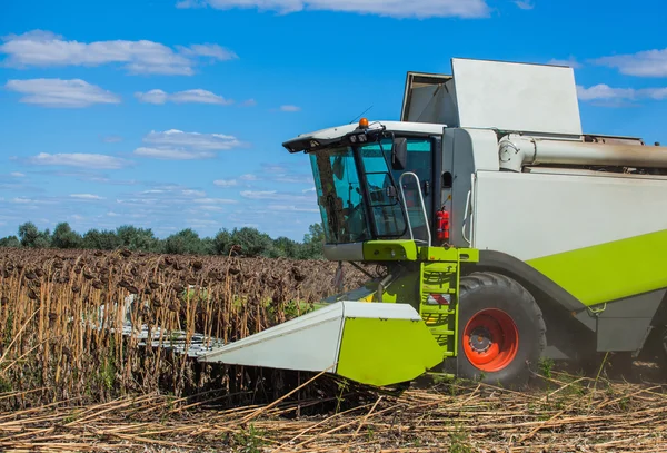 Grote harvester in het veld op een zonnige dag maaien rijp, droge zonnebloem. Herfst oogst. — Stockfoto