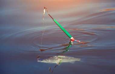 Tatlı su birikintisi içinde .bizimkini oltaya balık yakaladı.