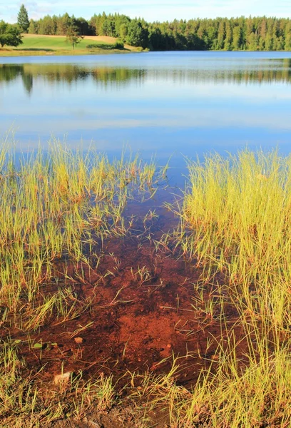 Lobelia Gölü kahverengi su ile — Stok fotoğraf