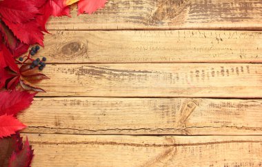 ahşap kurulları ile sonbahar yaprakları