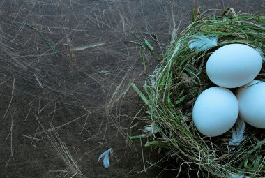 yumurta ile iç içe geçirme