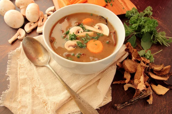 Hot and tasty mushroom soup — Stock Photo, Image