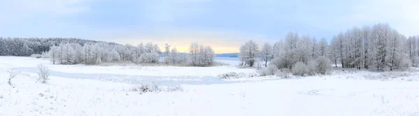 Blick auf den zugefrorenen See im Winter — Stockfoto