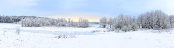 Kışın donmuş göl üzerinde Panoranic görünümü
