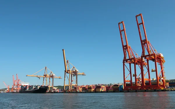 Terminal de contenedores — Foto de Stock