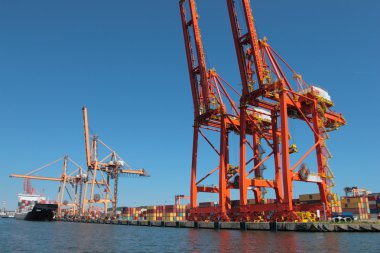 Yeni inşaatı konteyner terminali Gdynia