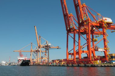 Gdynia 'daki Baltık Konteynır Terminali