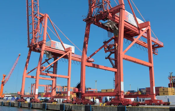 Grúas portuarias de trabajo en Gdynia — Foto de Stock