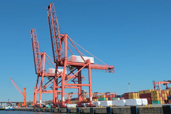 Poort kranen in haven Gdynia — Stockfoto