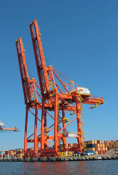 Containerterminal met werkende kranen en gantry — Stockfoto