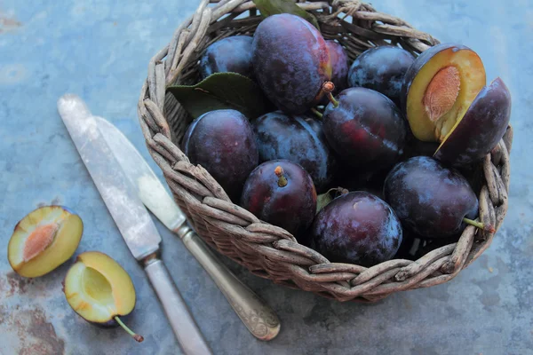 Plums fresh picked from tree in autumn — Stock Photo, Image