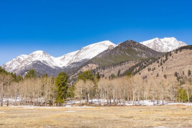 Colorado 'daki Rocky Dağı Ulusal Parkı' nda dağları kaplayan kar