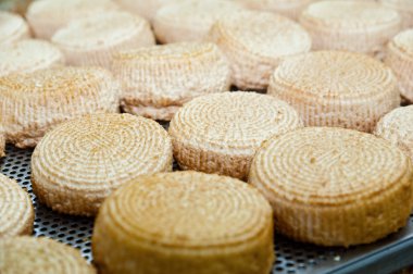 Füme Adyghe peyniri