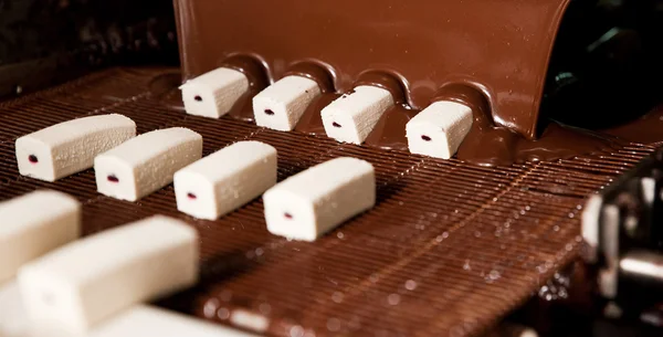 The production of sweet cottage cheese covered with chocolate — Stock Photo, Image