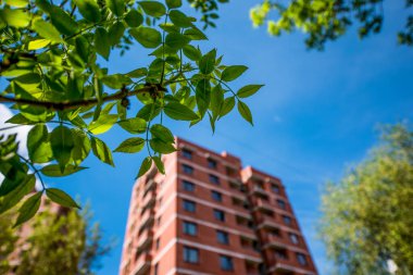 Bulanık yeni bir evin arka planına karşı yeşil bir ağaç dalının parçası