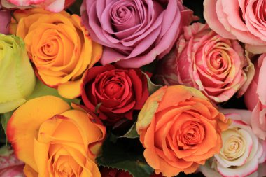 çok renkli düğün gül