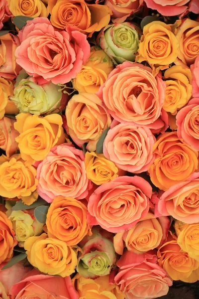 Yellow and orange roses — Stock Photo, Image