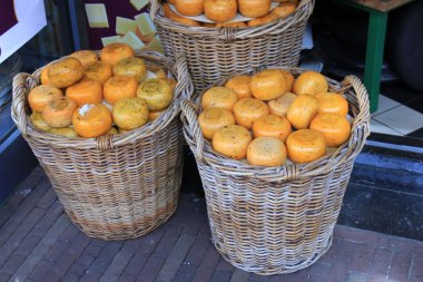 Hollanda peynir mağaza