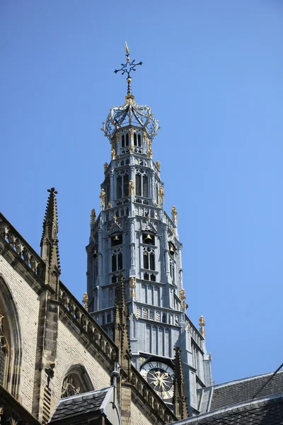 St Bavo církev - Haarlem — Stock fotografie