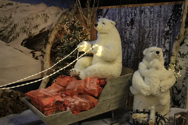 Πολική αρκούδα χειμωνιάτικο σκηνικό — Φωτογραφία Αρχείου