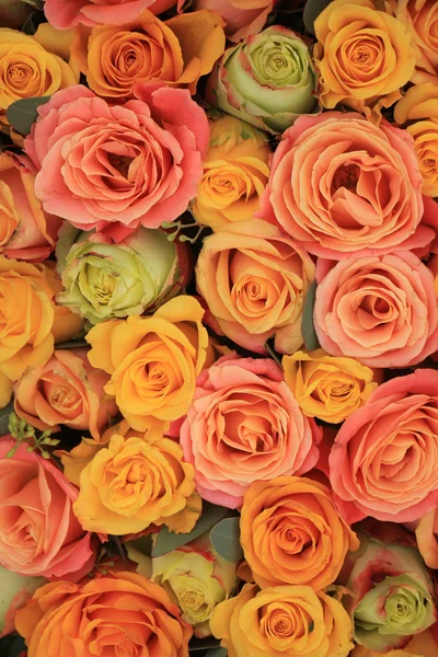 Yellow and orange roses — Stock Photo, Image