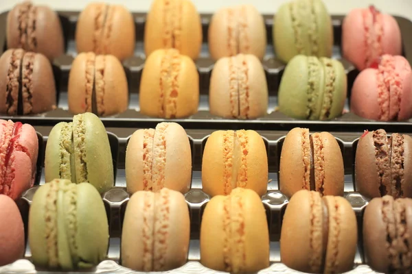 Färska pastellfärger macarons — Stockfoto