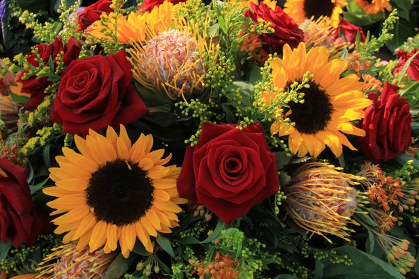 Girasoles y rosas — Foto de Stock