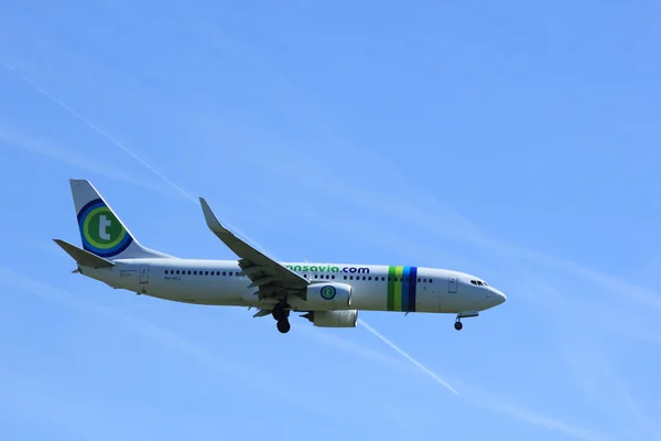 Amsterdam the Netherlands - May 5th 2016: PH-HSJ Transavia Boein — Stock Photo, Image