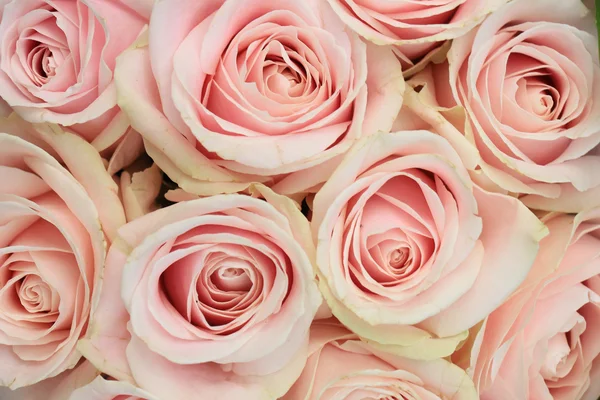 pembe düğün düzenleme