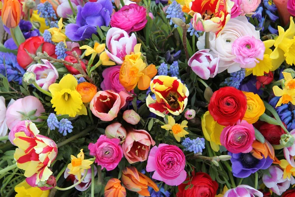 혼합된 봄 꽃 — 스톡 사진