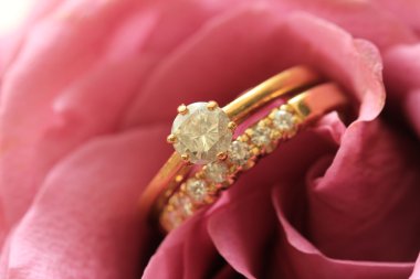 Sarı altın düğün set