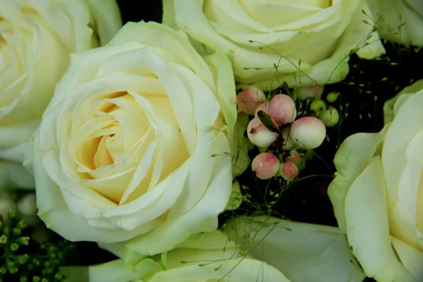 White wedding roses — Stock Photo, Image