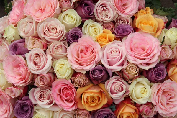 Pastel wedding roses — Stock Photo, Image