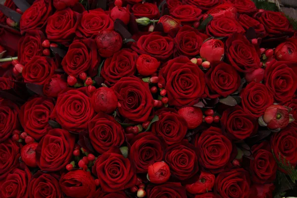 Ranúnculo, bayas y rosas en un grupo —  Fotos de Stock