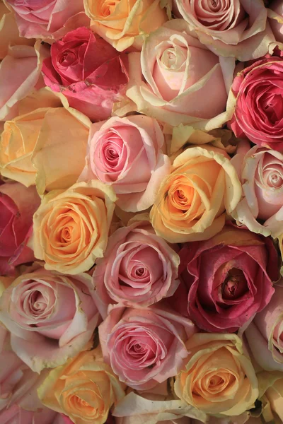 Rosas pastel mistas — Fotografia de Stock