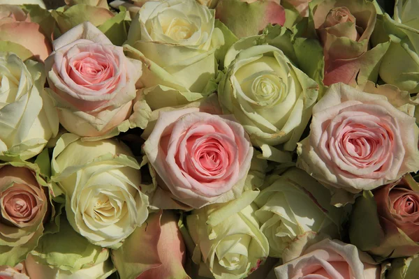 Bílé a růžové růže v svatební aranžmá — Stock fotografie