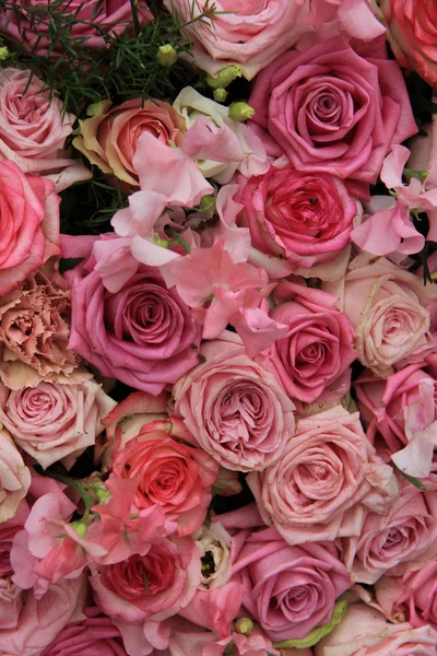 Gemengd roze rozen — Stockfoto