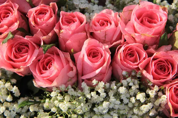 Rózsaszín rózsák, és a baba levegőt csokor — Stock Fotó