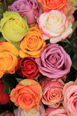 çok renkli düğün gül