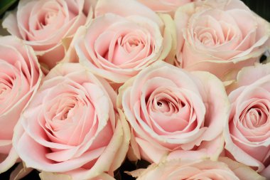 pembe düğün düzenleme