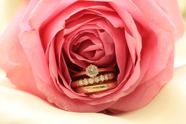 Anéis de casamento em rosa rosa — Fotografia de Stock