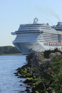 Velsen, Hollanda - 10th Eylül 2016: Msc Splendida