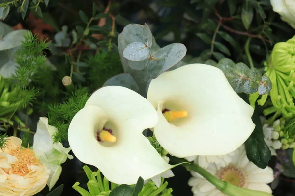 Große Weiße Arum Lilien Einem Brautblumenarrangement — Stockfoto