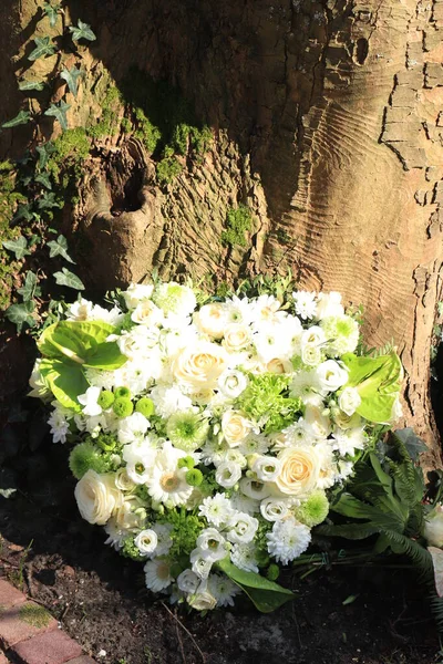 Coração Forma Flores Simpatia Perto Uma Árvore Várias Flores Diferentes — Fotografia de Stock